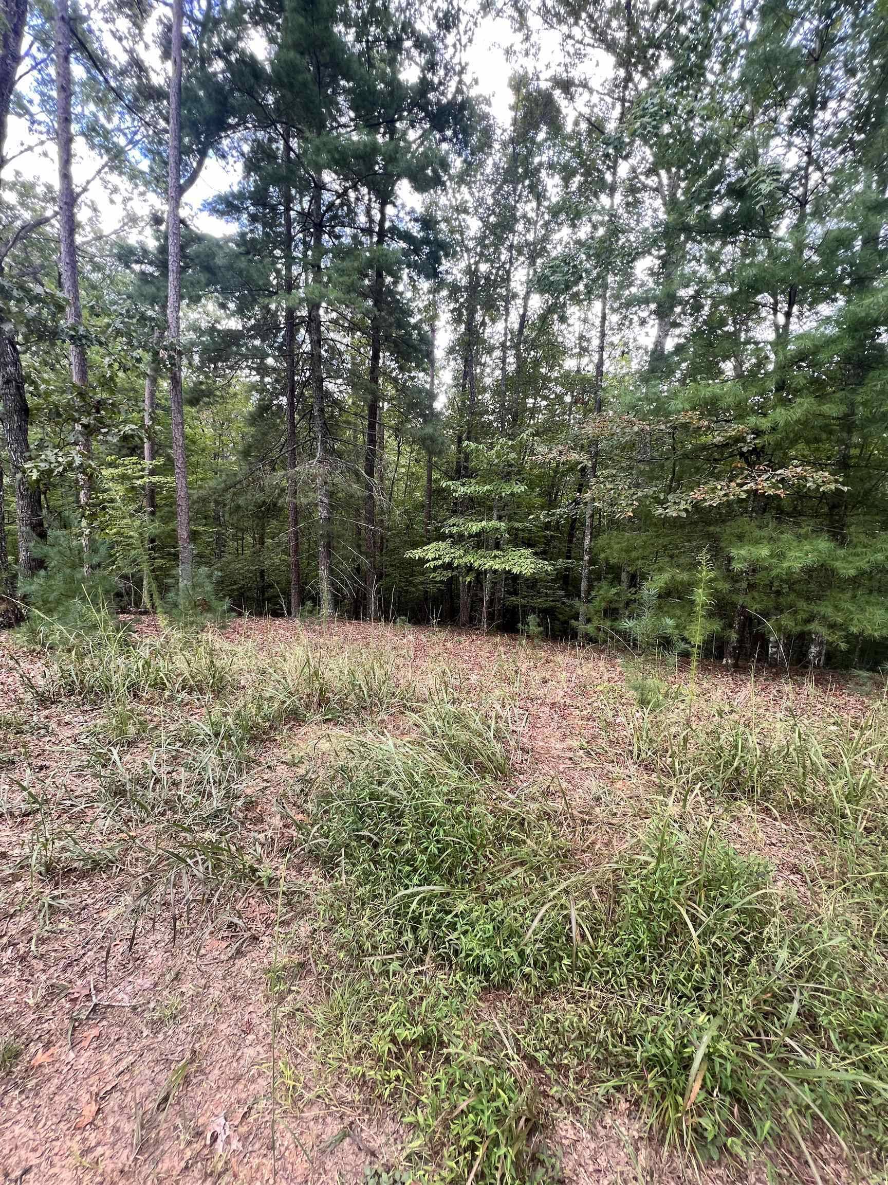 Murphy, NC 28906,14 LOTS Hedden