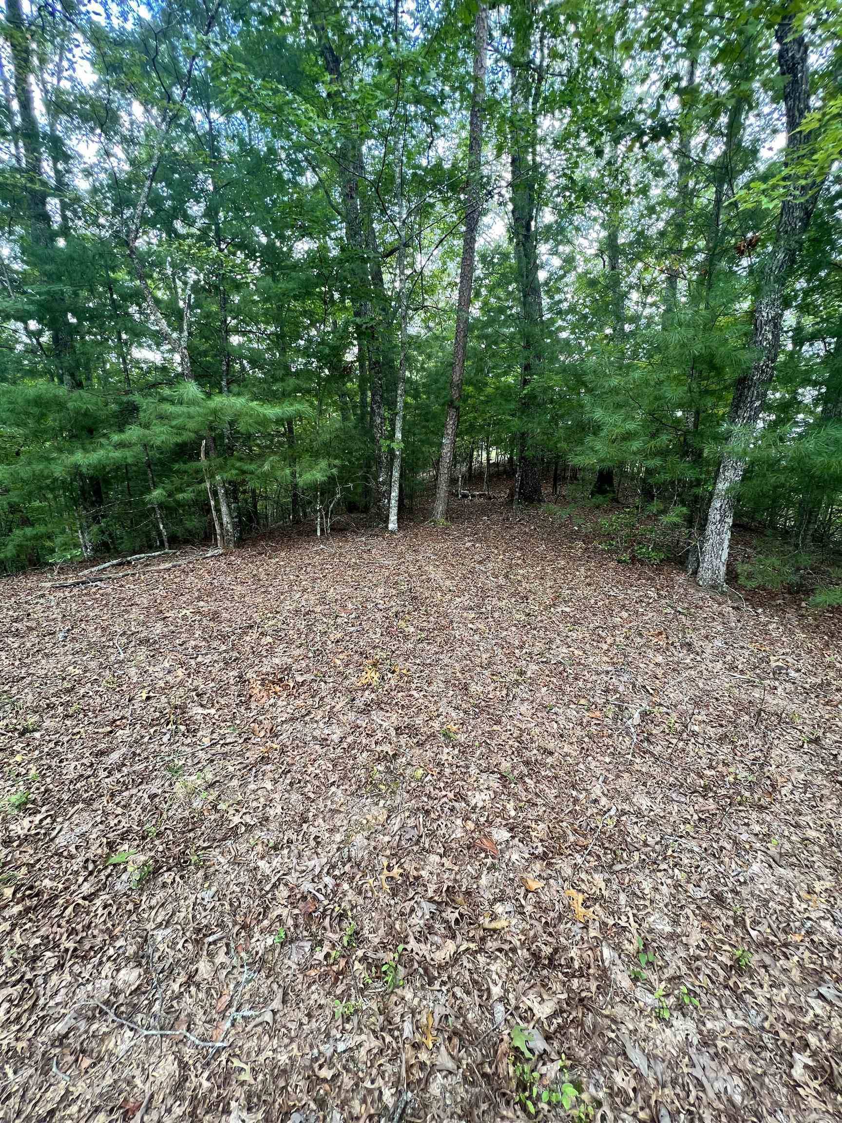 Murphy, NC 28906,14 LOTS Hedden