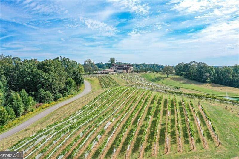 Dahlonega, GA 30533,0 Strada Del Vino