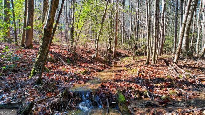 Blairsville, GA 30512,LOT 78 Highland Park