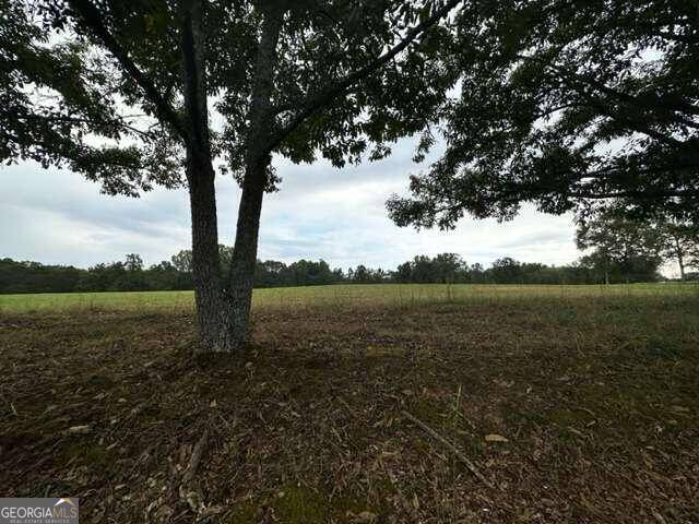 Loganville, GA 30052,1470 Lee Peters RD