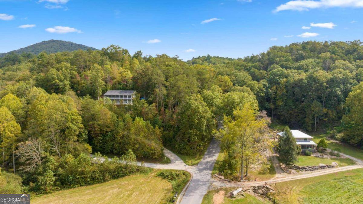 Mineral Bluff, GA 30559,0 Laurel Springs RD