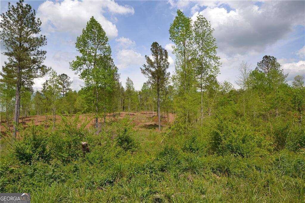 Fairmount, GA 30139,0 Loblolly LN