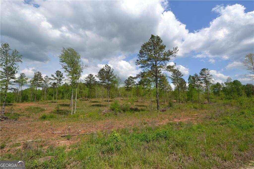 Fairmount, GA 30139,0 Loblolly LN