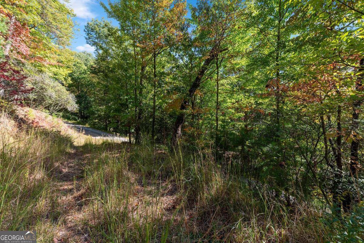 Cherry Log, GA 30522,2.24 Acres Martin