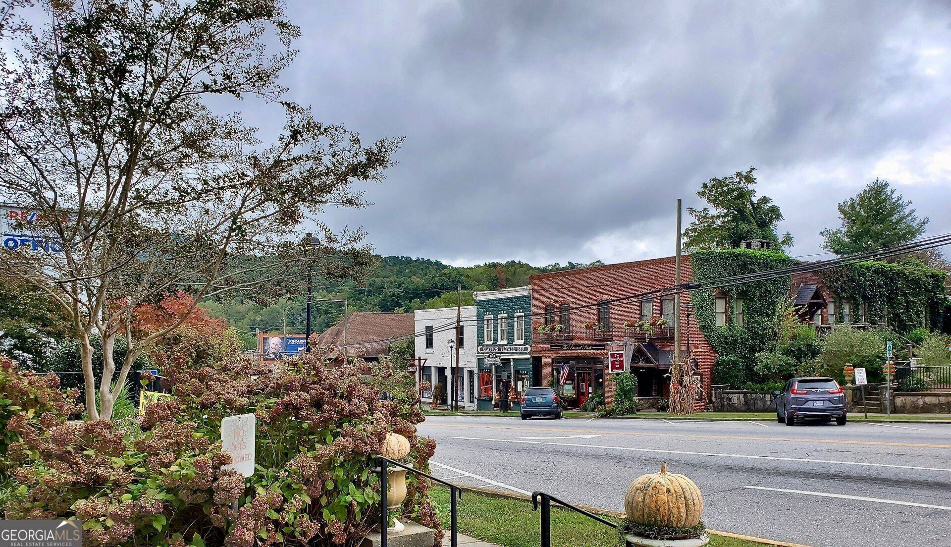 Clayton, GA 30525,LOT 28 Raven Ridge RD