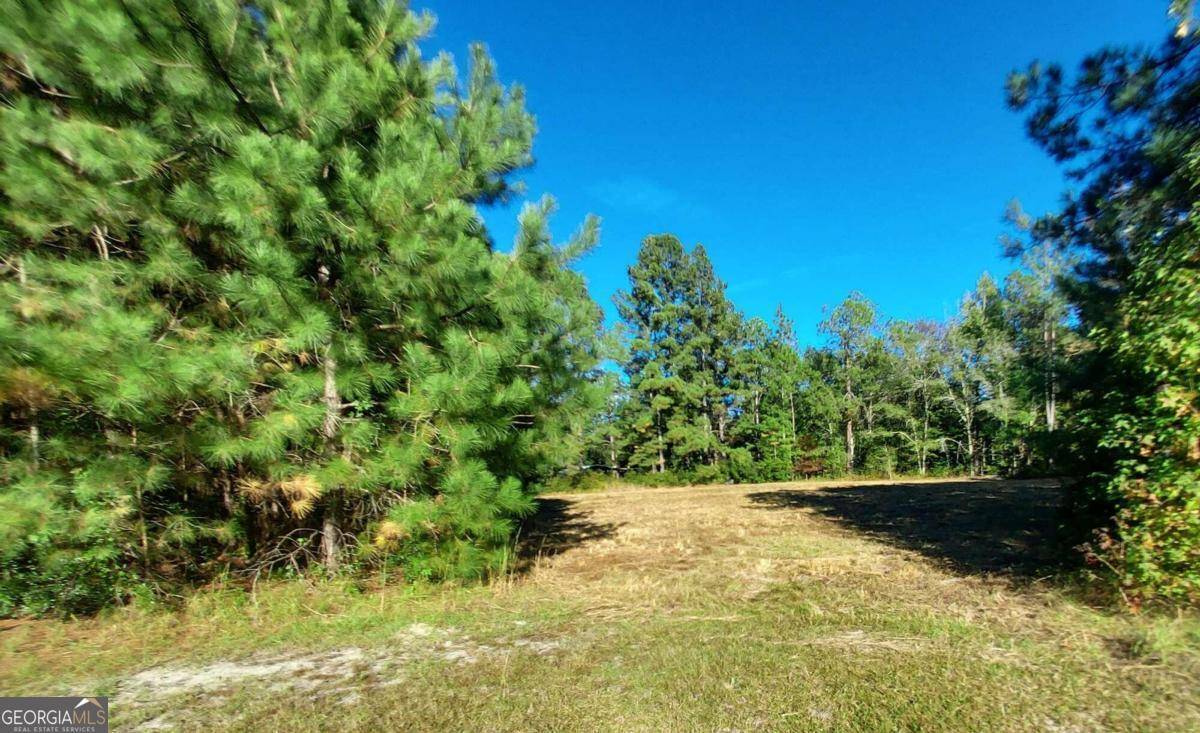 Clyo, GA 31303,0 Mt Pleasant RD