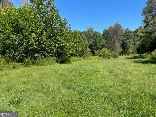 Ellijay, GA 30536,LT 7 Clear Creek Preserve Way