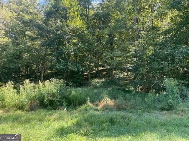 Ellijay, GA 30536,LT 7 Clear Creek Preserve Way