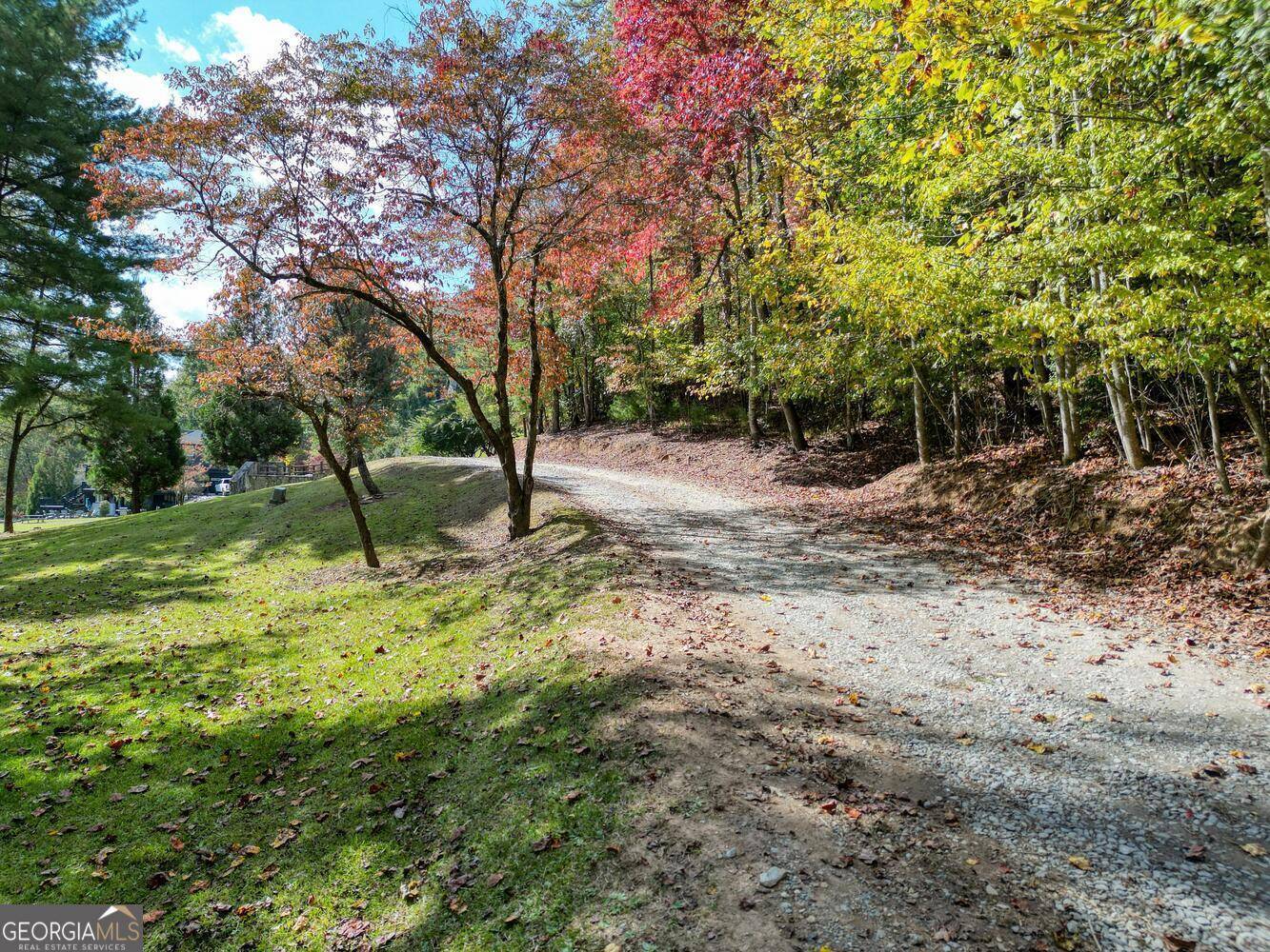 Mineral Bluff, GA 30559,LOT 32 Toccoa River