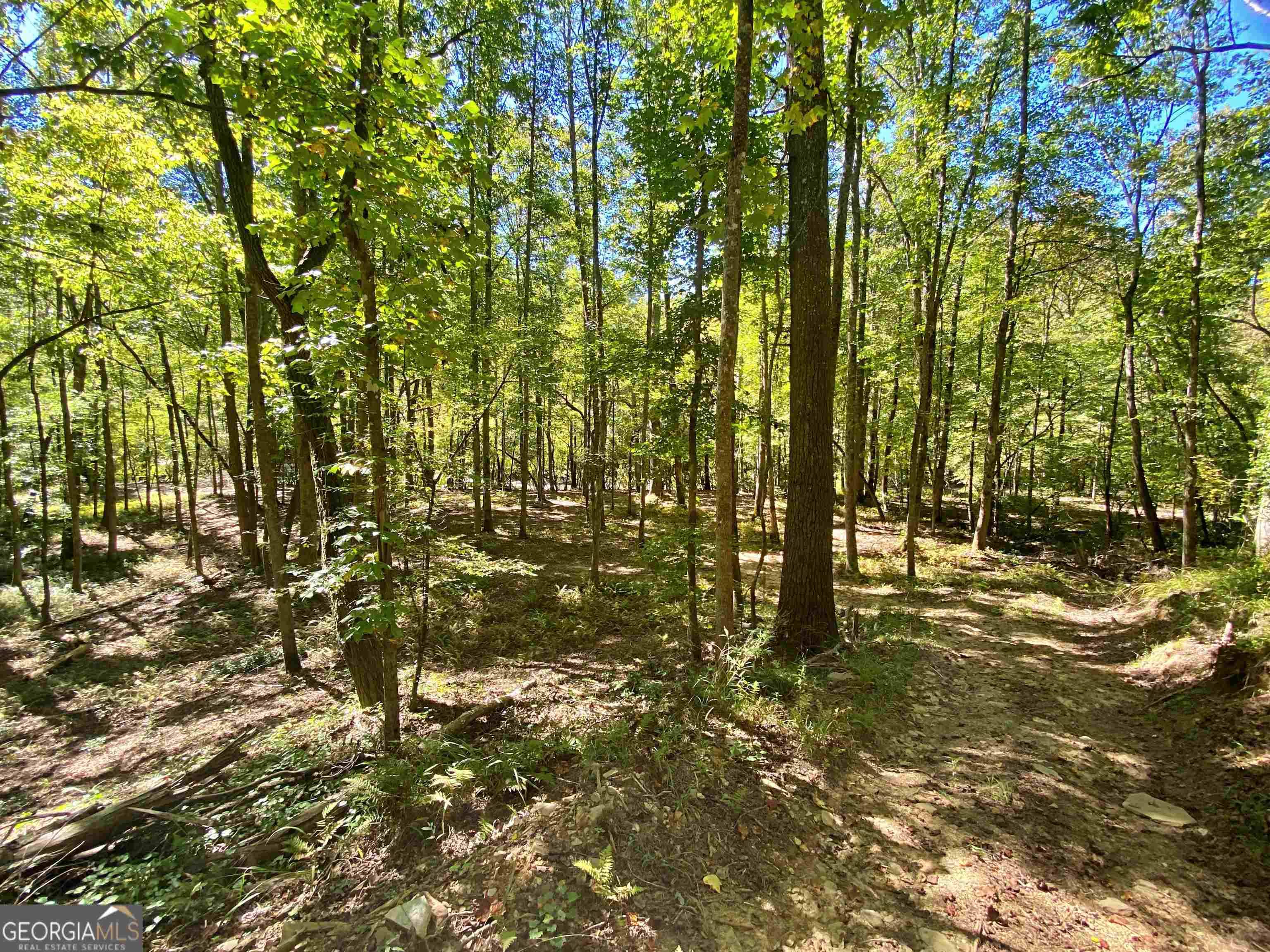 Dahlonega, GA 30533,LOT 8 Etowah River Estates