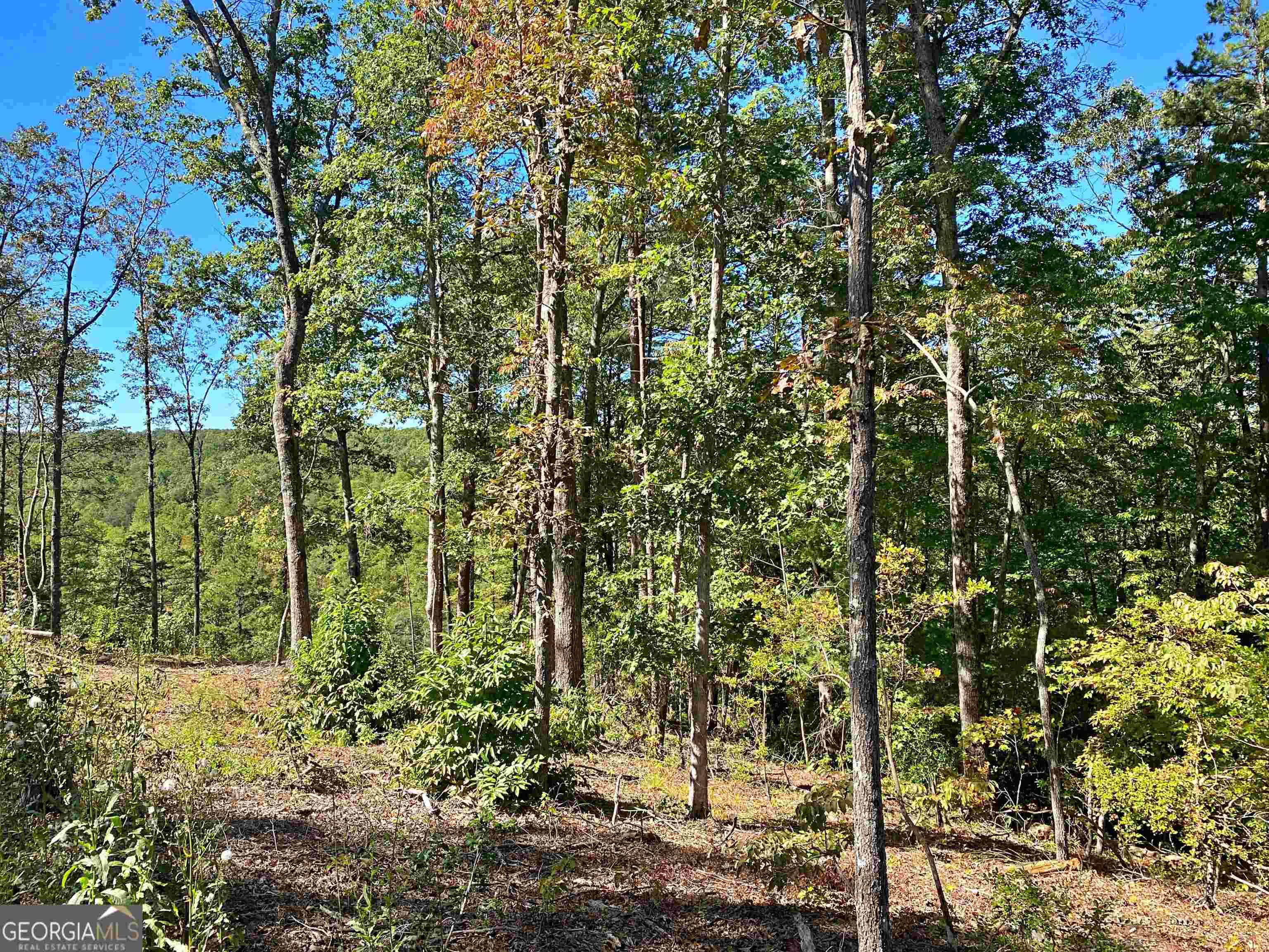 Dahlonega, GA 30533,LOT 8 Etowah River Estates