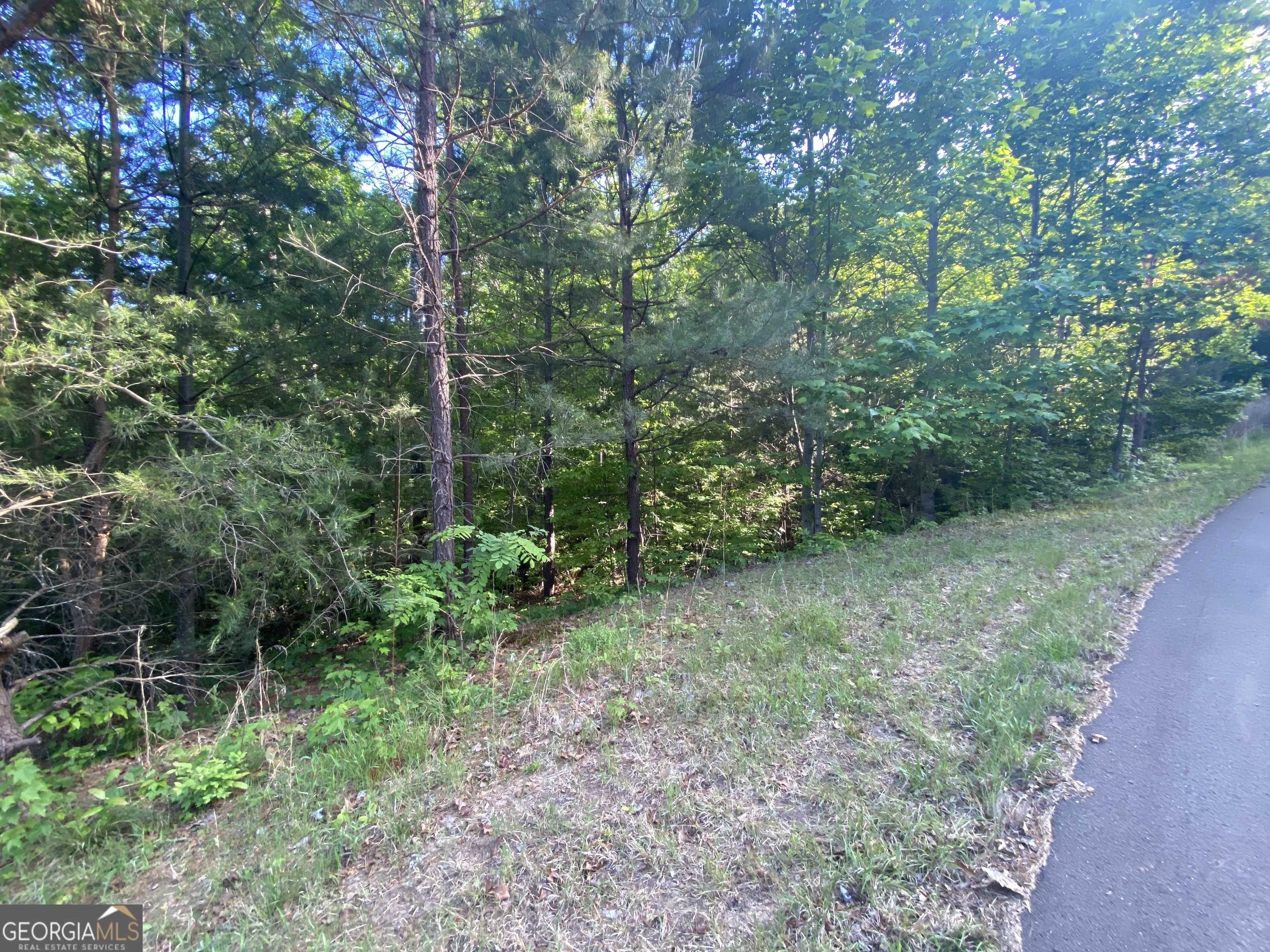 Morganton, GA 30560,LOT 47 Ralston Gap