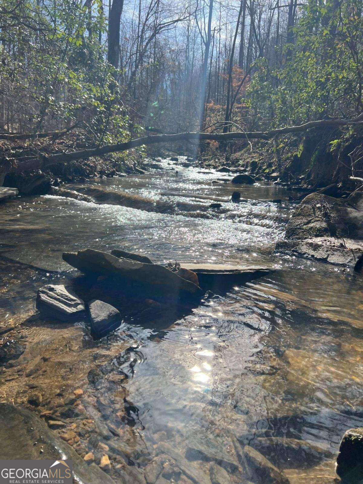 Talking Rock, GA 30175,20 Meadowlands