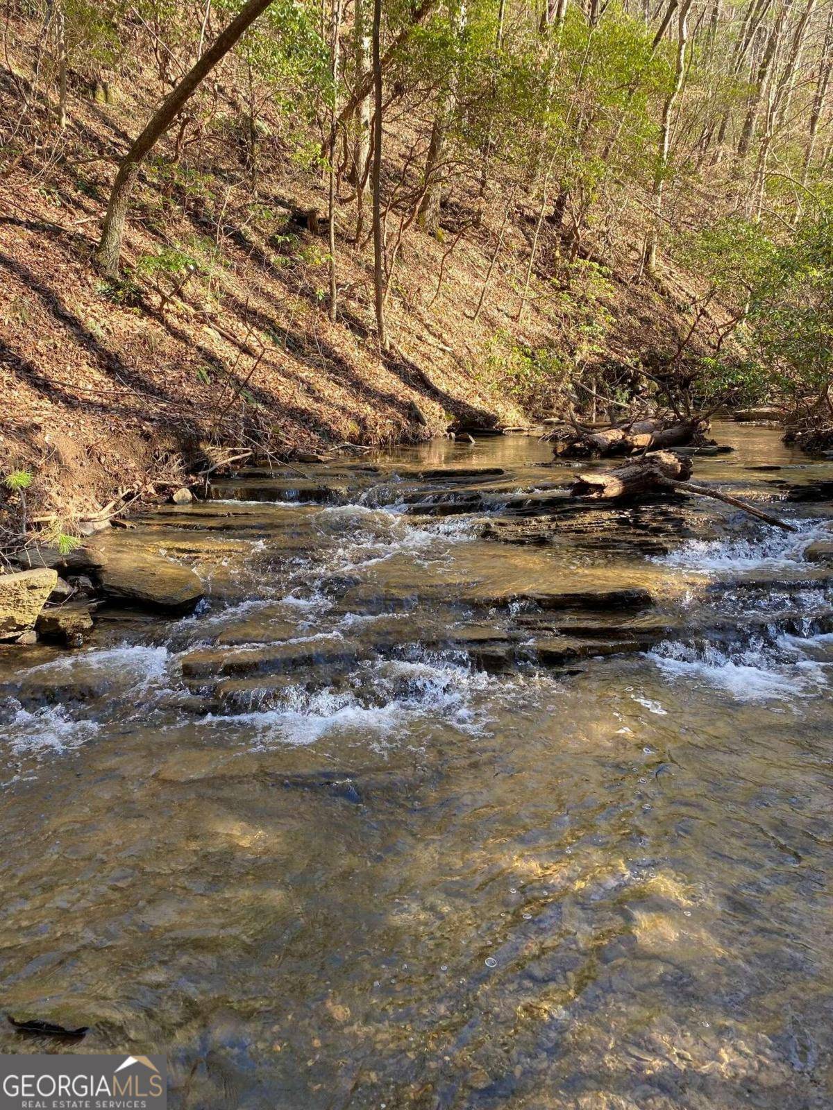 Talking Rock, GA 30175,20 Meadowlands