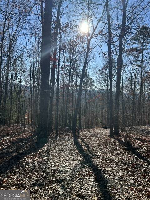 Morganton, GA 30560,LOT 12 Spring Ridge TRL