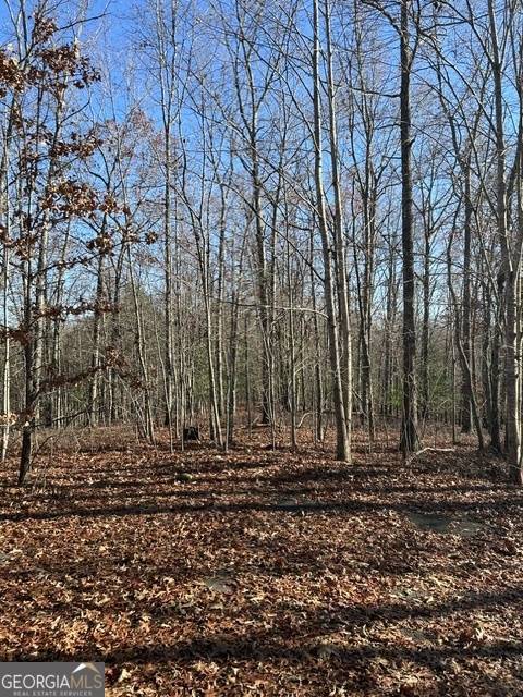 Morganton, GA 30560,LOT 12 Spring Ridge