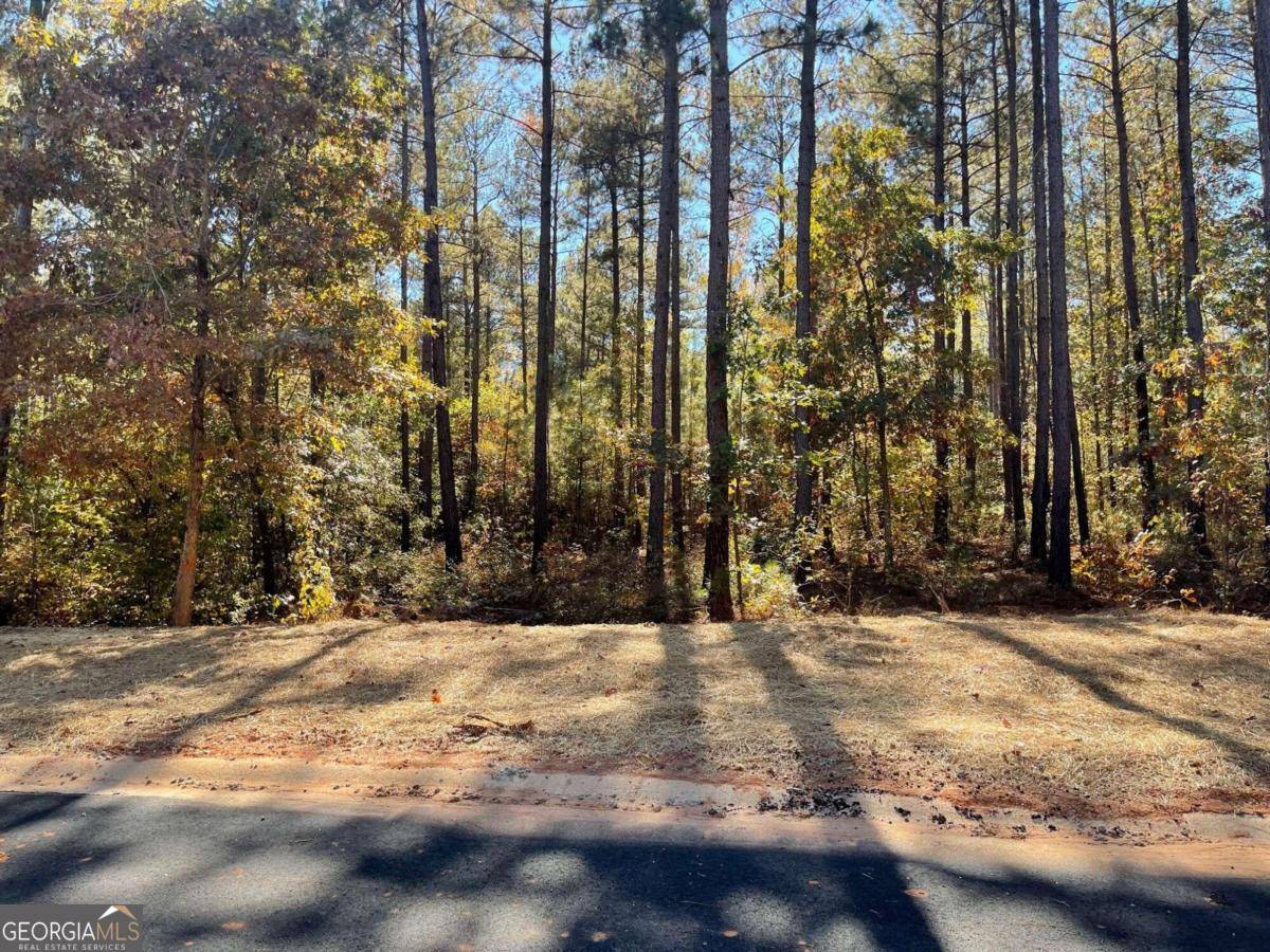 Hull, GA 30646,LOT13C Spratlin Mill