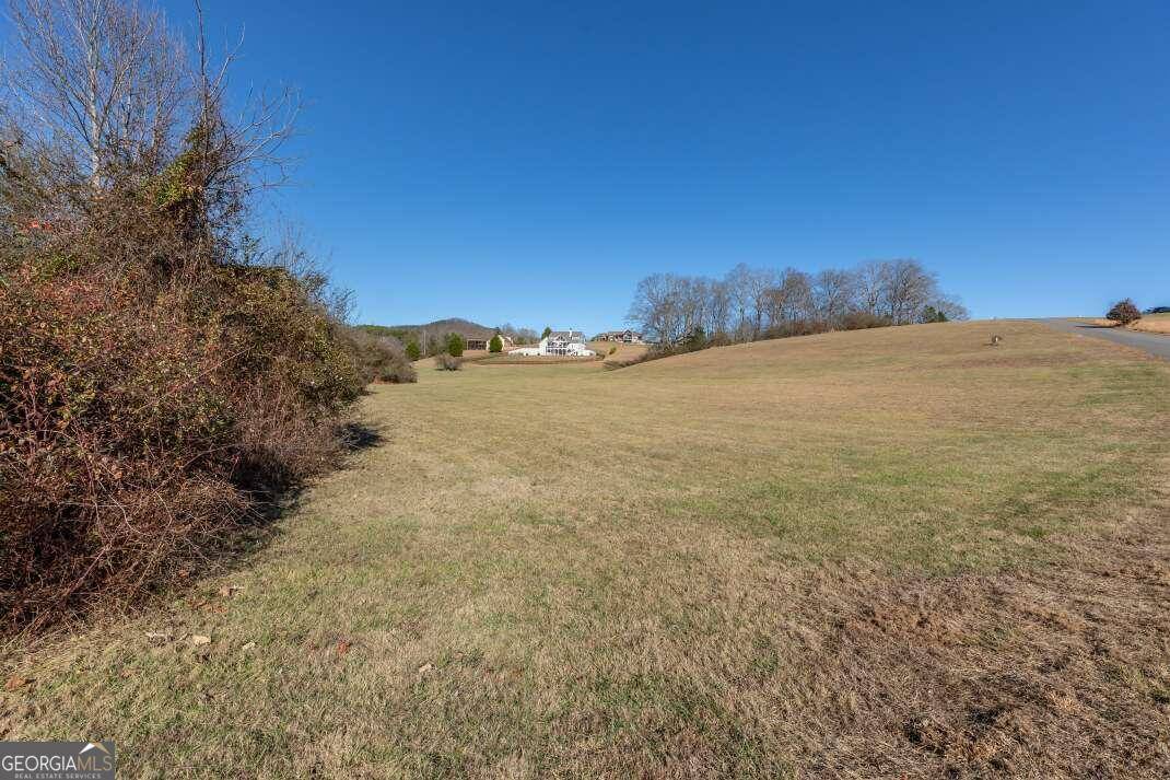 Blairsville, GA 30512,LT 63 Fox