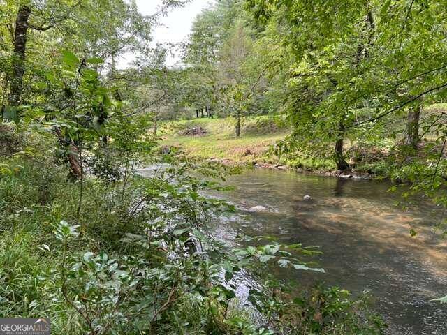 Cherry Log, GA 30522,LOT 9 River Escape