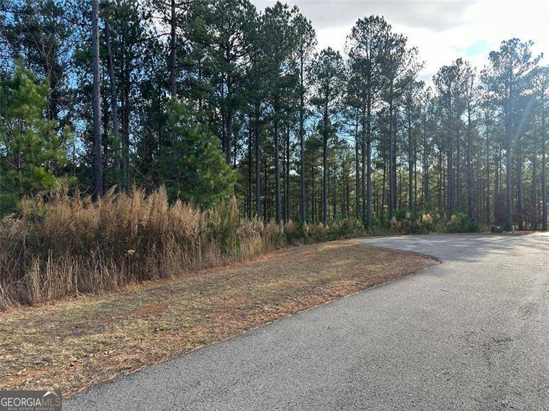 Blairsville, GA 30512,LOT 268 Thirteen Hundred