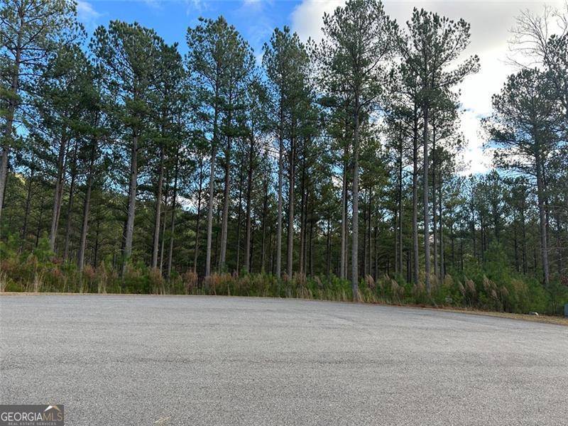 Blairsville, GA 30512,LOT 268 Thirteen Hundred