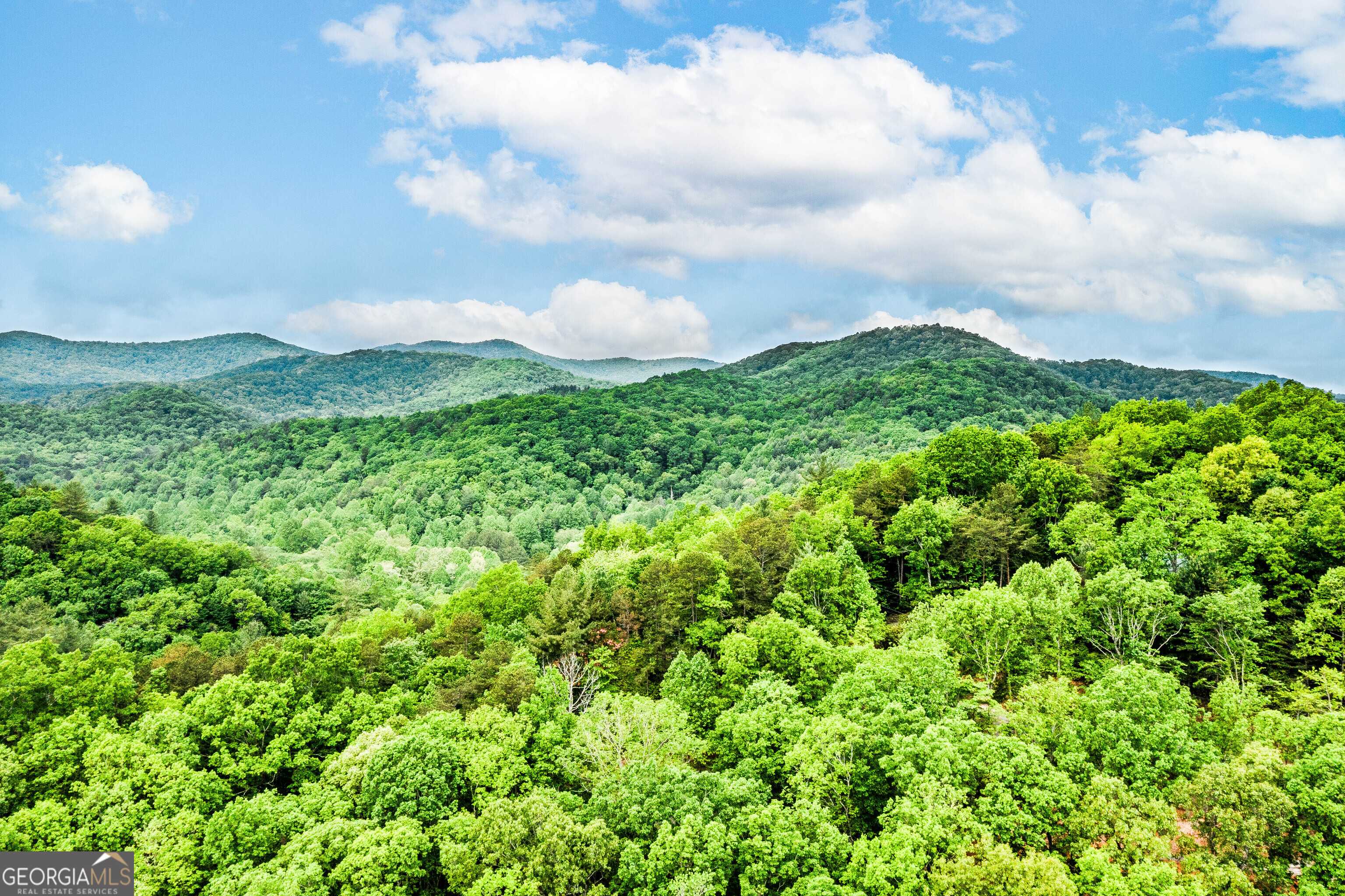 Cherry Log, GA 30522,434 Martin