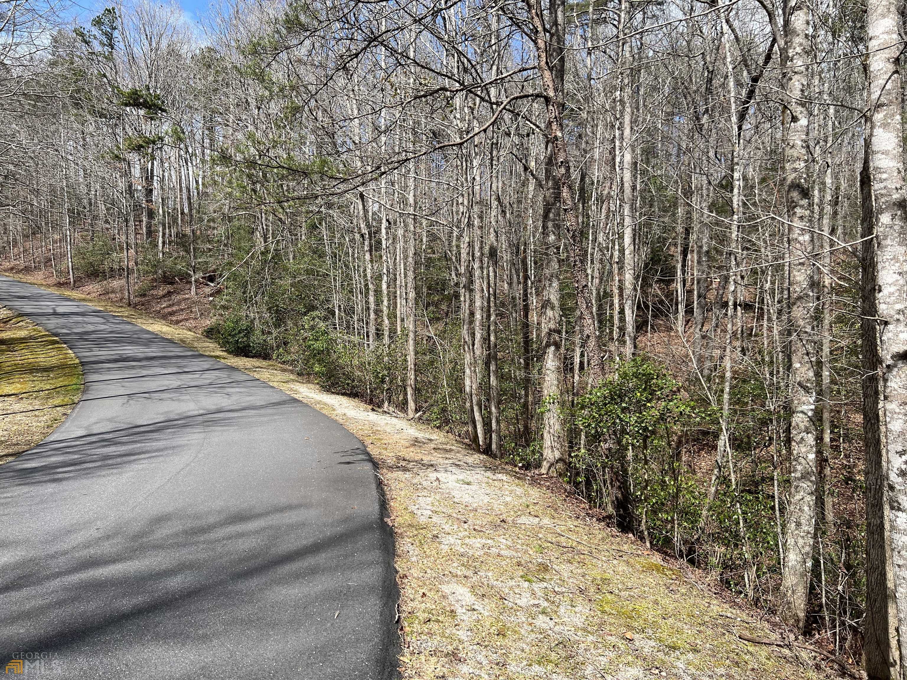 Demorest, GA 30535,0 Chattahoochee Winds DR #LOT 27