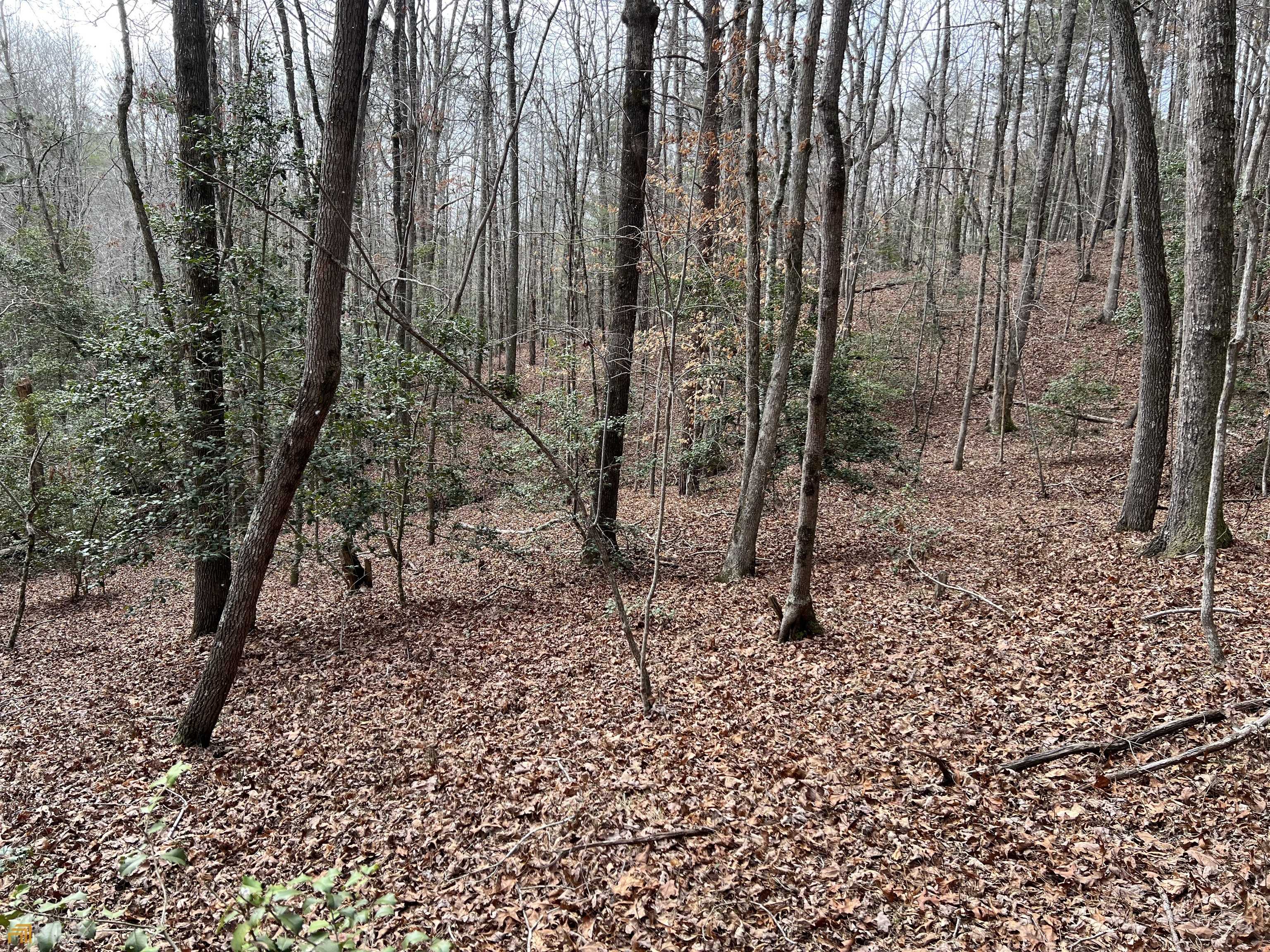 Demorest, GA 30535,0 Chattahoochee Winds DR #LOT 27