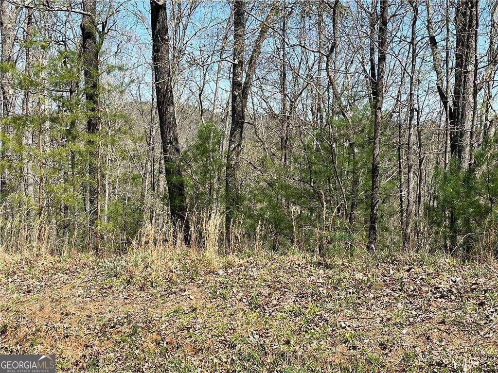 Ranger, GA 30734,1672 Hunter DR
