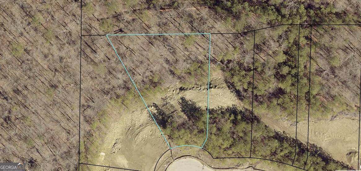 Dallas, GA 30157,68 White Spruce TRL #LOTS 134, 135