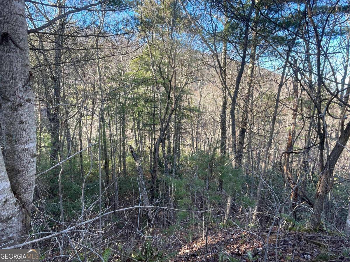 Hiawassee, GA 30546,LOT 5 Harris