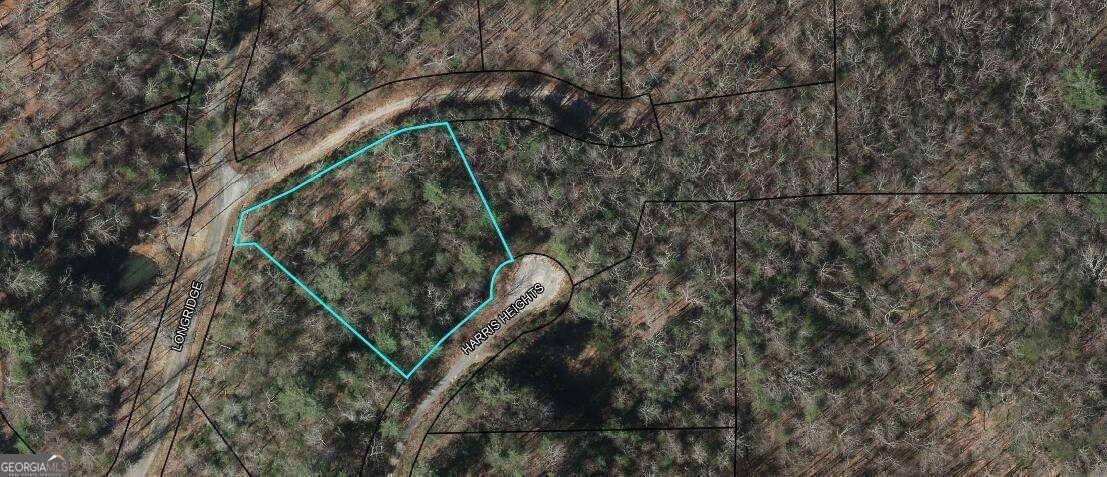 Hiawassee, GA 30546,LOT 5 Harris