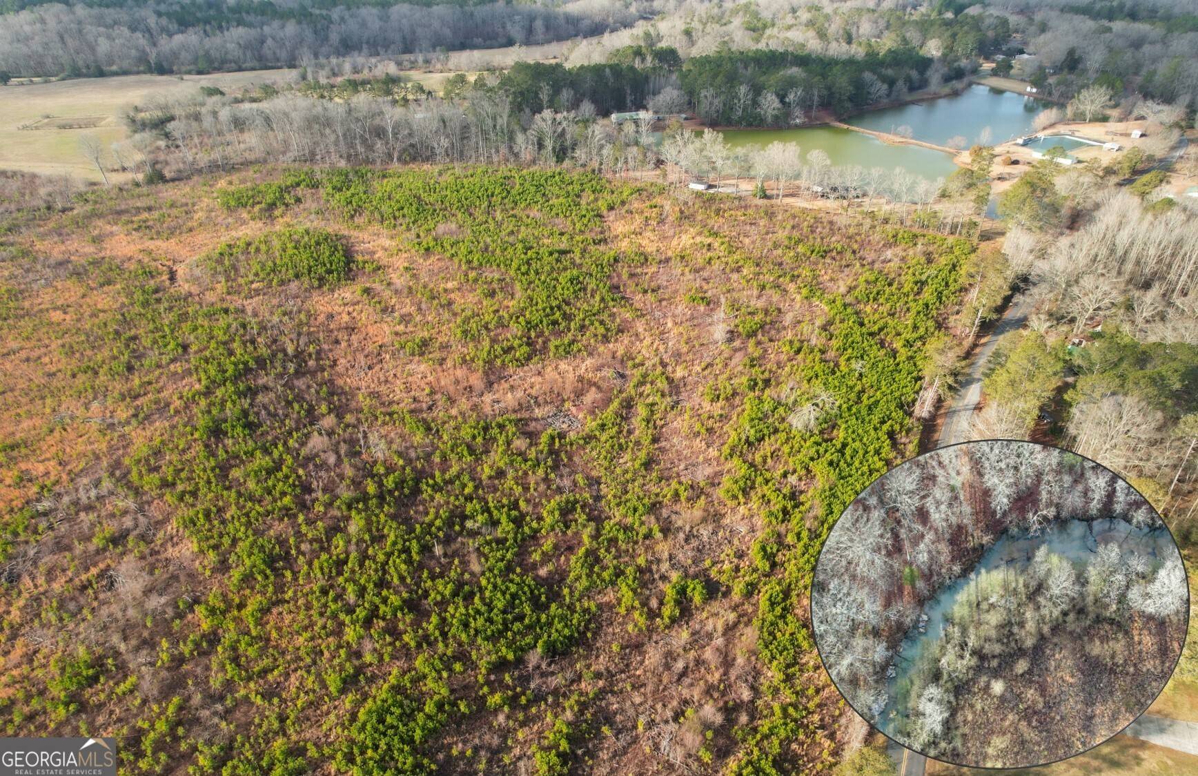 Cedartown, GA 30125,142 Acres on Judkin Mill