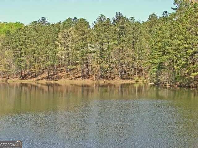 Waleska, GA 30183,750 Arrow TRL