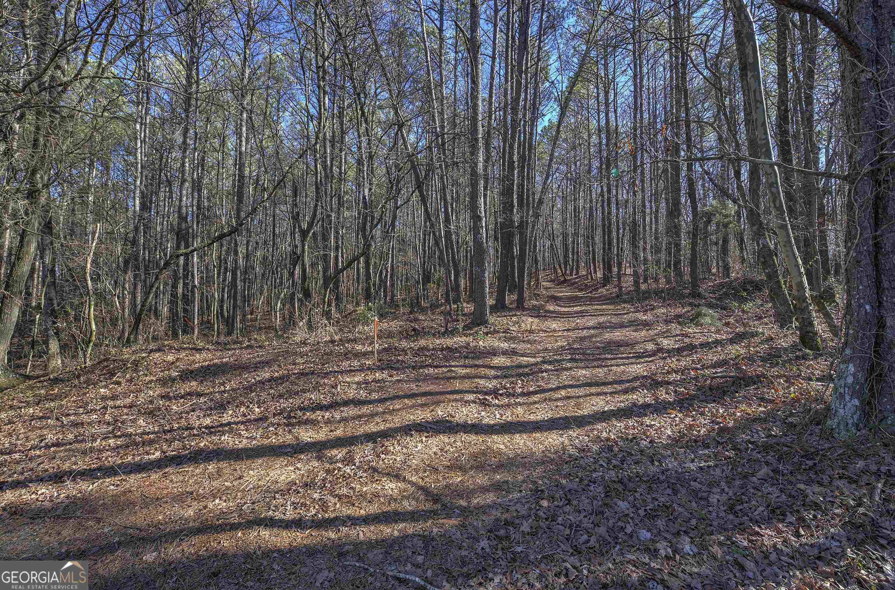 Cartersville, GA 30121,300 Cassville White Lot 4