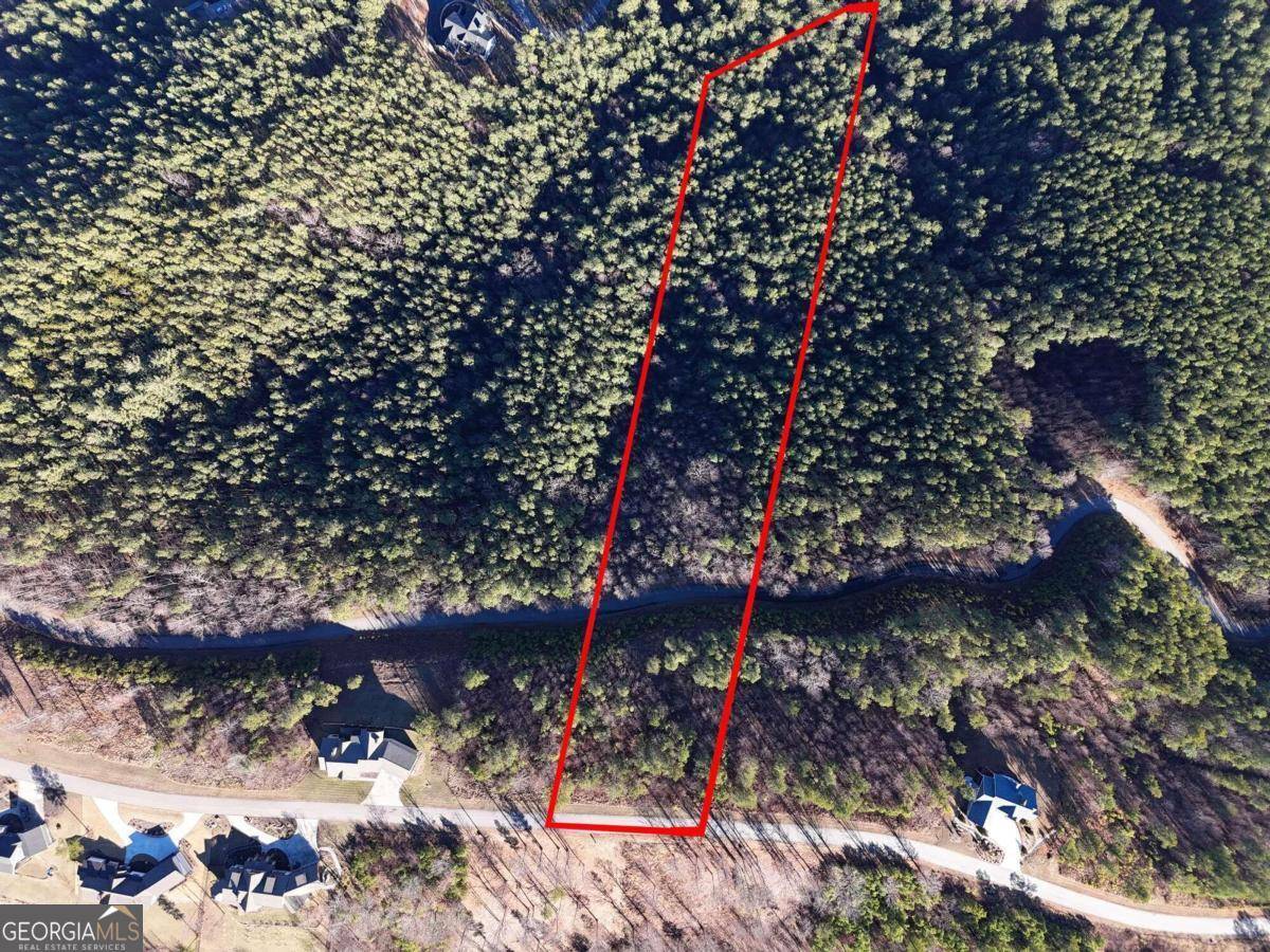 Blairsville, GA 30512,LOT 24 Mile High