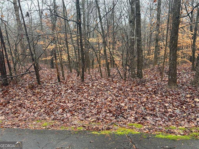 Franklin Springs, GA 30662,0 College Heights PL