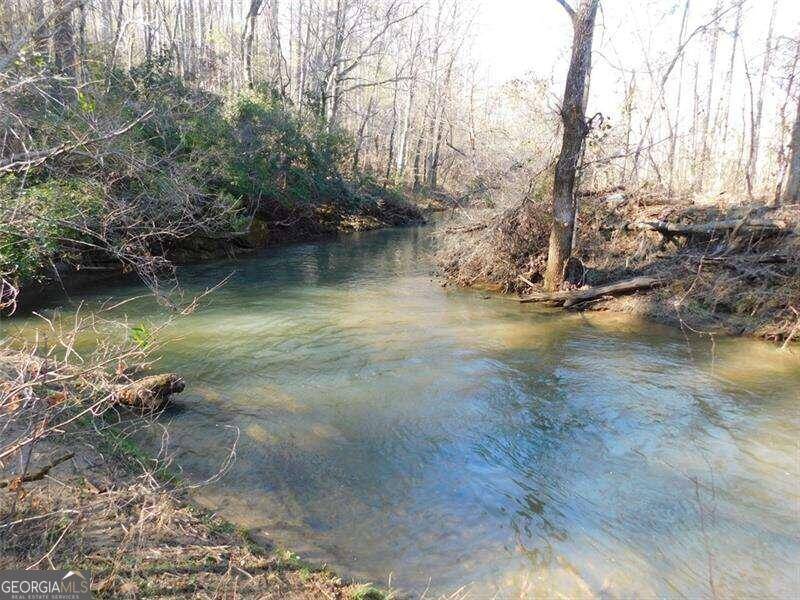 Dahlonega, GA 30533,0 Woodland Lane Tract 4