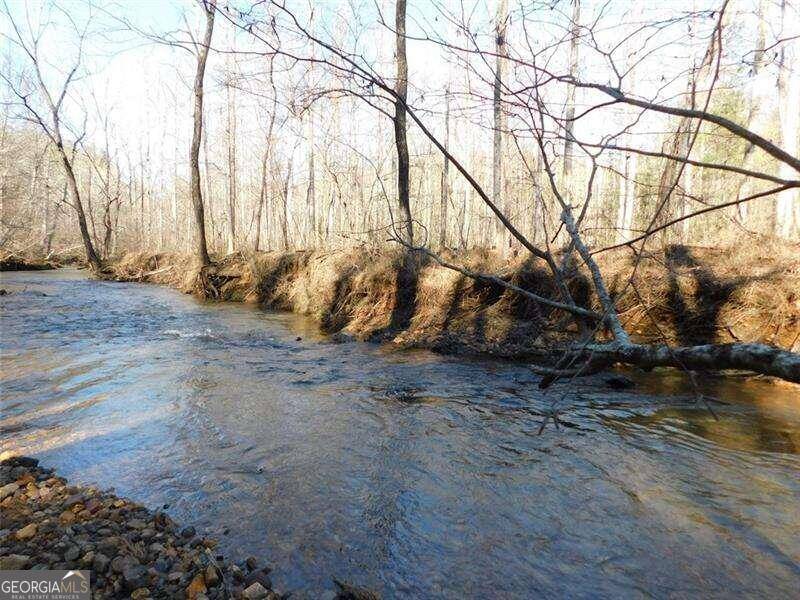 Dahlonega, GA 30533,0 Woodland Lane Tract 4