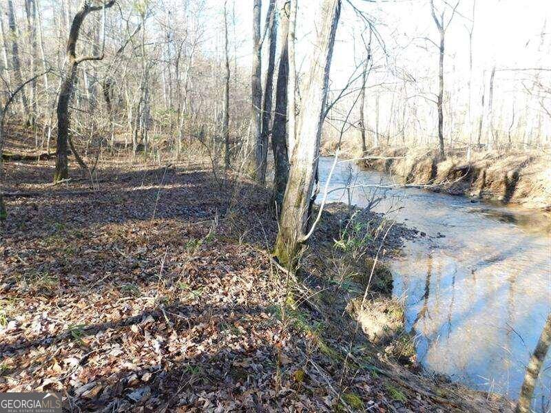 Dahlonega, GA 30533,0 Woodland Lane Tract 4