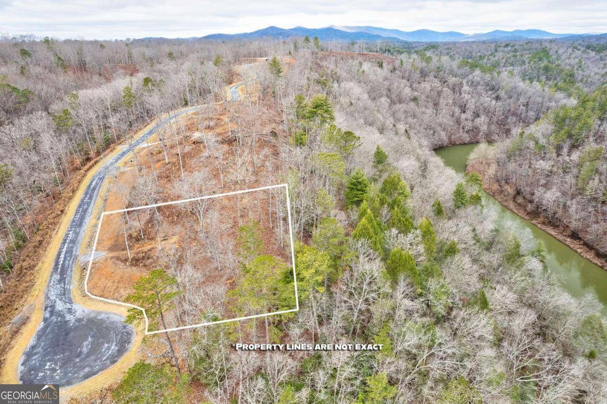 Ellijay, GA 30540,82 S Jakes Landing