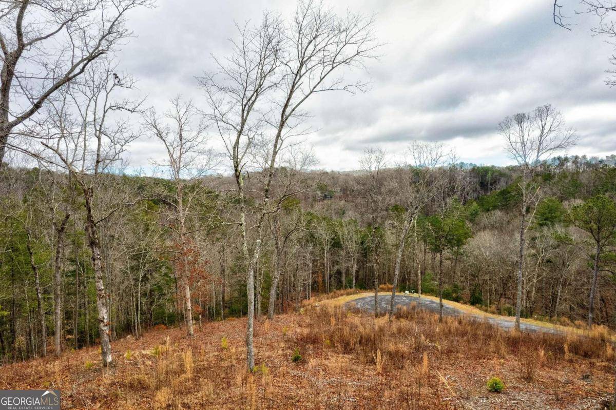 Ellijay, GA 30540,82 S Jakes Landing