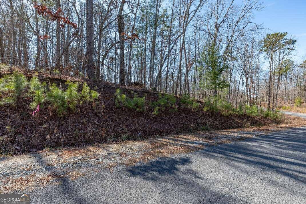 Ellijay, GA 30540,LOT 25 Ridgeway Church