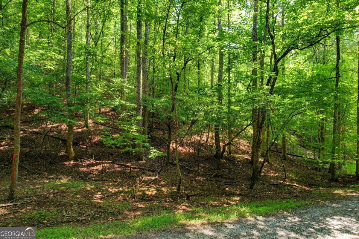 Ellijay, GA 30540,LOT 1972 Nancy