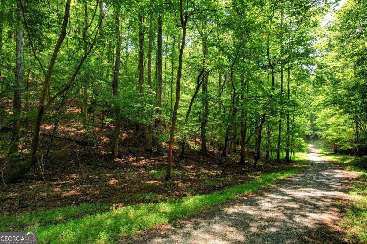 Ellijay, GA 30540,LOT 1972 Nancy CT