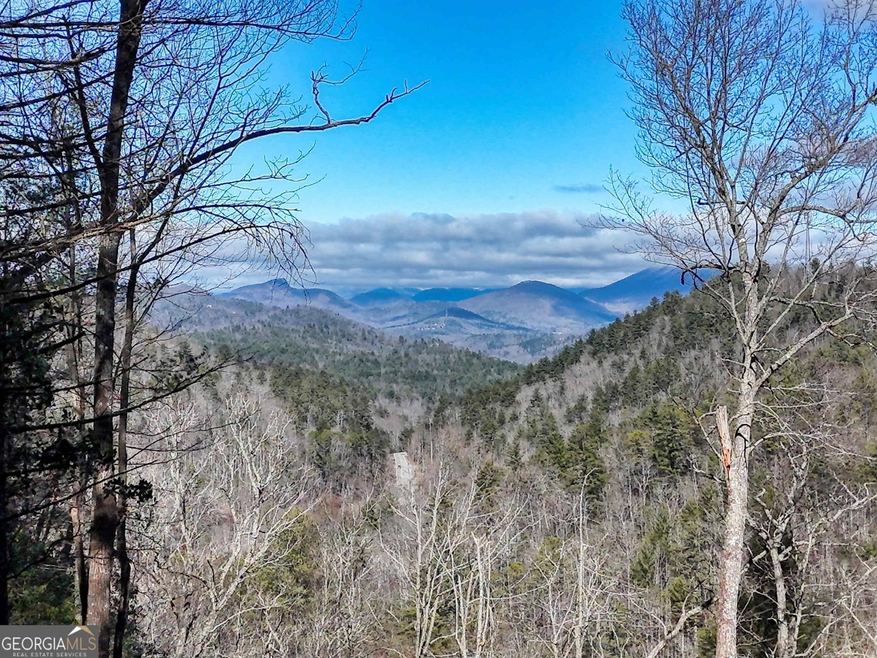 Hiawassee, GA 30546,38+ ACRE Shoals