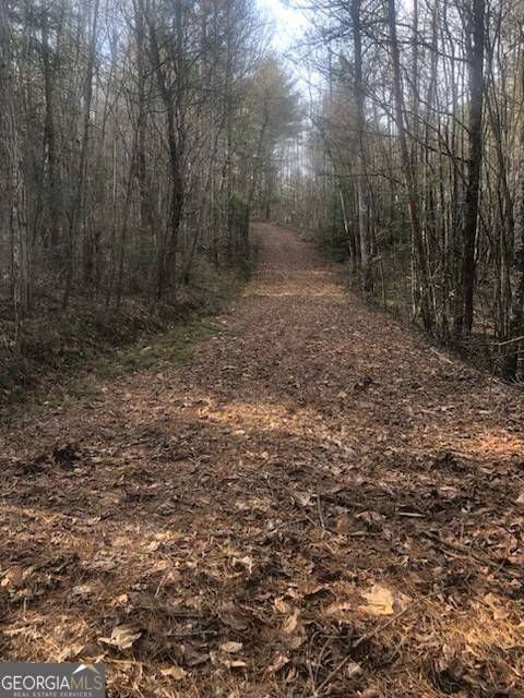 Ellijay, GA 30540,LOT  22 E Ridge