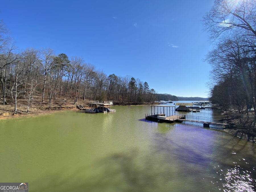 Lavonia, GA 30553,LOT 29 Knottywood