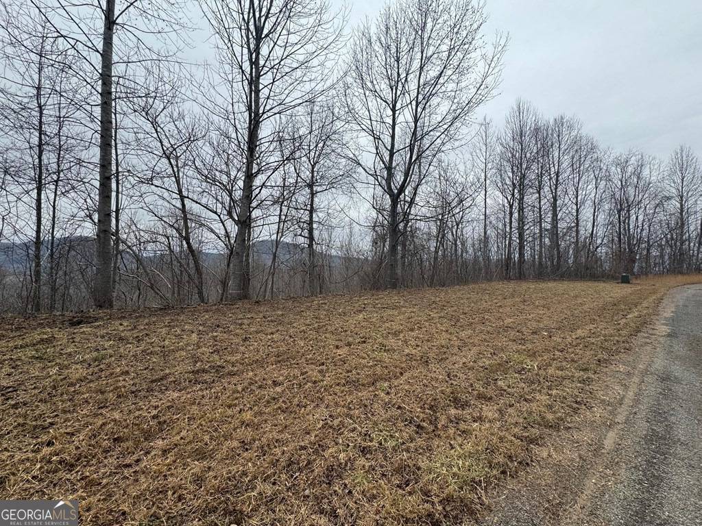 Young Harris, GA 30582,LOT 10 Chatuge Manor DR